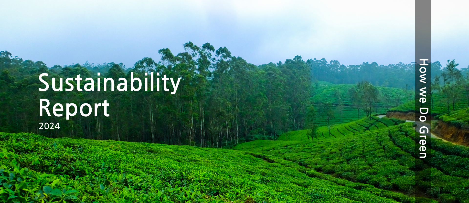 Sustainability Report Web